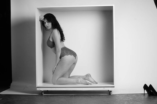 sexy beautiful brunette woman in lingerie posing in decorative box at studio on white background  - Valokuva, kuva