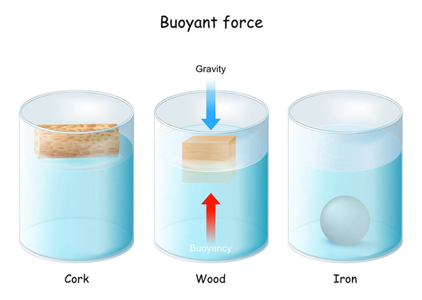 Buoyant force. Archimedes' principle - Vector, Image