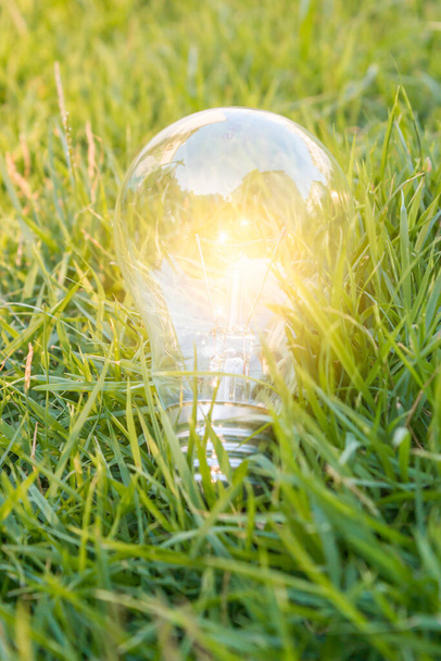 лампочка светится на траве, творческая концепция энергосбережения - Фото, изображение