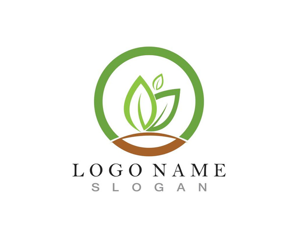 зеленый лист логотип природы и шаблон символа - Вектор,изображение