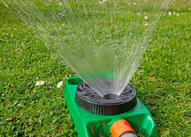 Lawn sprinkler irrigates a meadow - Photo, Image