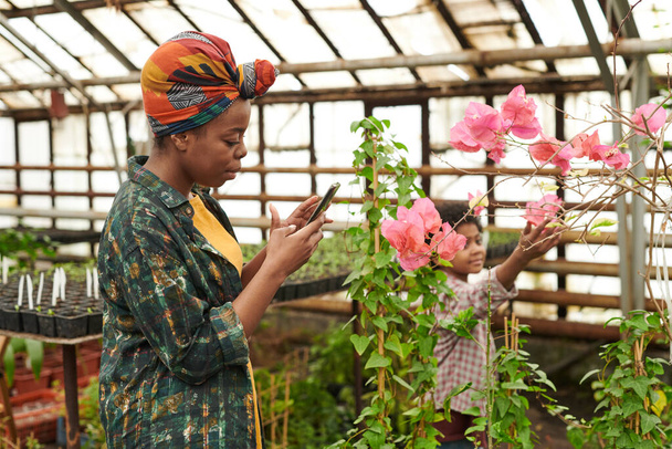 Gente cultivando flores en invernadero - Foto, imagen