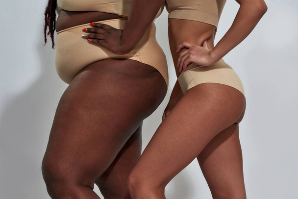 Cropped shot of body of african american women in underwear with different body shape holding hand on waist standing together isolated over gray background - Fotografie, Obrázek