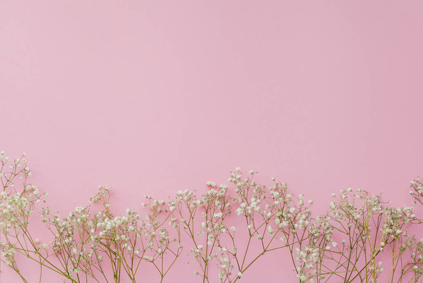 Small white flowers on a pink background. Holidays. Gypsophila. Holidays. - Foto, imagen