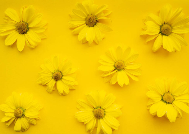 Flowers composition from chrysanthemum flowers on yellow background. Color of the year 2021 illuminating, spring, summer template for your projects. - Fotó, kép