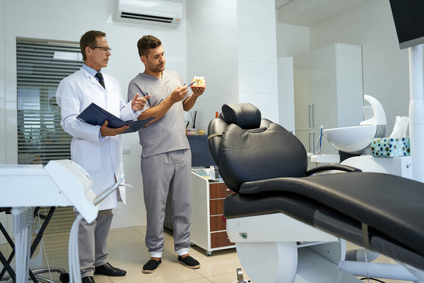 Dwóch dentystów oglądających replikę zębów w swoim biurze - Zdjęcie, obraz