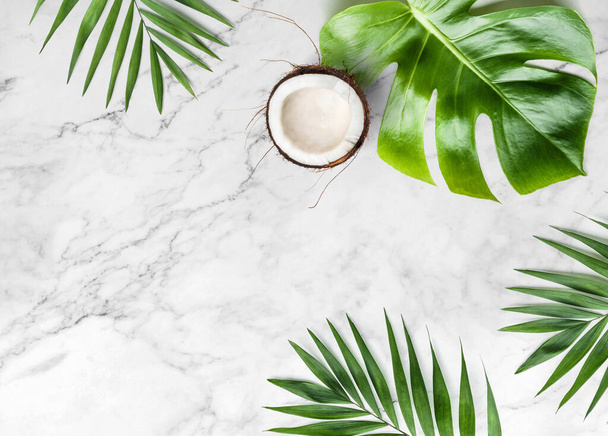 Tropical leaves, Monstera plants and coconut on light marble background. Summer concept, flat lay, top view - Fotografie, Obrázek