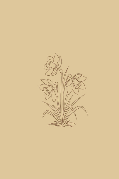 Illustrazione botanica stampabile minimalista. Illustrazione delle piante. Arredo casa. - Foto, immagini