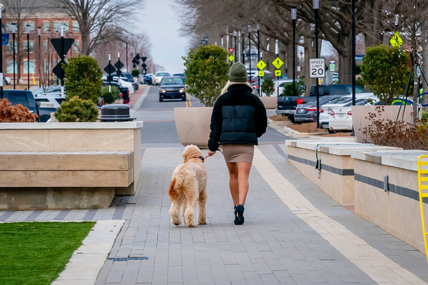 Sarışın bir manken yavru köpeğiyle dışarıda poz veriyor. - Fotoğraf, Görsel