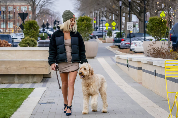 A gorgeous young blonde model poses outdoors with her young puppy - Φωτογραφία, εικόνα