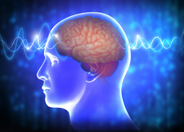 Ilustração médica das ondas cerebrais humanas - Foto, Imagem