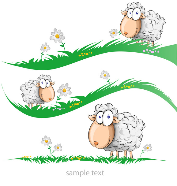 cartoon ovelhas definido no prado
 - Vetor, Imagem