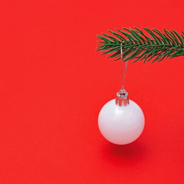 Christmas tree toy simple white ball hanging on green fir tree branch close up. Merry Christmas and New Year greeting card with copy space. - Valokuva, kuva