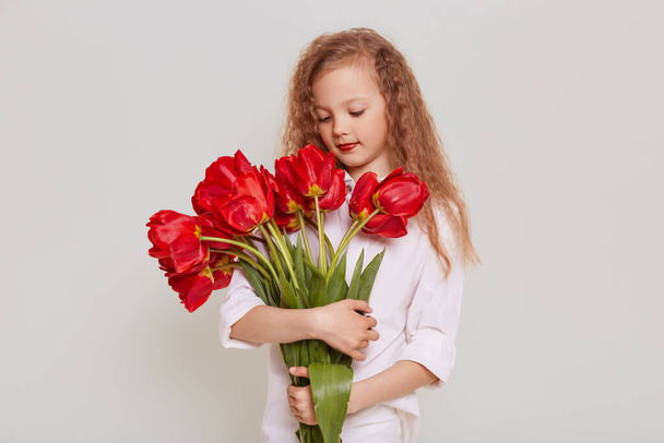 Charming blonde wavy haired girl wearing white blouse holding big bouquet of red tulips, looking at flowers with dreamy expression, isolated over gray background. - Fotoğraf, Görsel