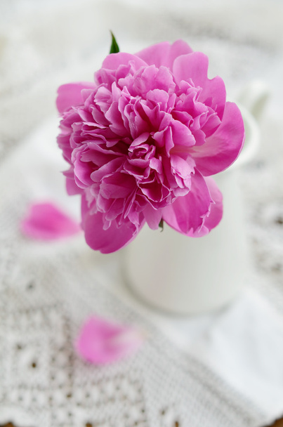 Pink peony in jug on vintage lace tablecloth - Foto, immagini