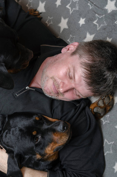Yatakta köpekleri olan bir adamın yüksek açılı görüntüsü. Yetişkin bir adam iki Rottweiler 'la yatıyor. Bir evcil hayvana sarılıyor. Evcil hayvan hayatı. İçeride. Seçici odak. - Fotoğraf, Görsel