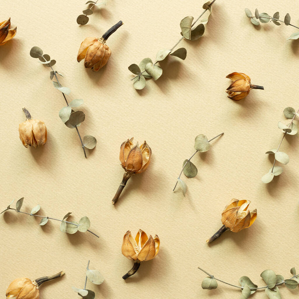 Dry flowers on beige background. flat lay, top view - Photo, Image