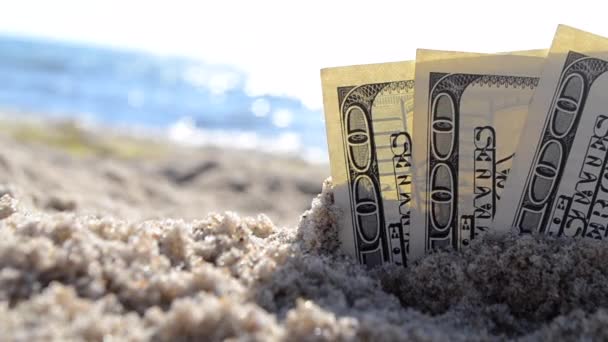 Geld half bedekt met zand liggen op het strand close-up - Video