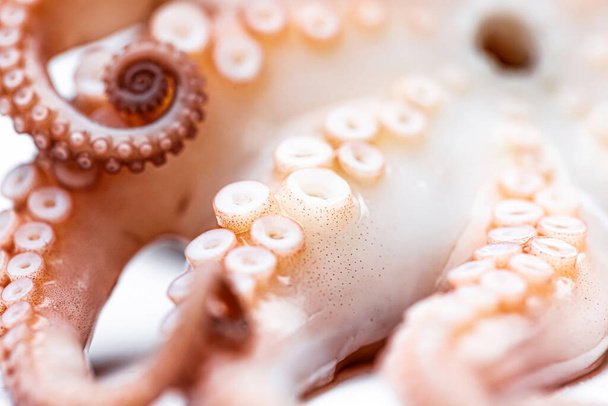 Gekookte octopustentakels voor het koken - Foto, afbeelding