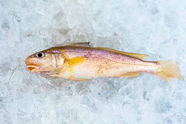 Морская рыба содержит питательные вещества, которые необходимы для организма и могут быть съедены в любом возрасте, потому что она легко усваивается и с низким содержанием жира. - Фото, изображение