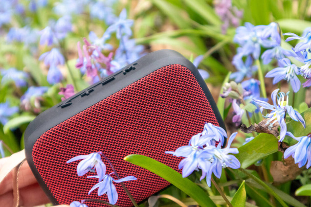 Vörös hordozható hangszóró vad természet közelkép. Virágzó vad tavaszi gyep kék scilla bifolia virágok háttér. Vidd magaddal a zenét a szabadba. - Fotó, kép