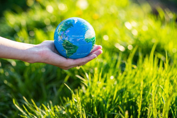 Hand hält Globus Earth Day - Foto, Bild