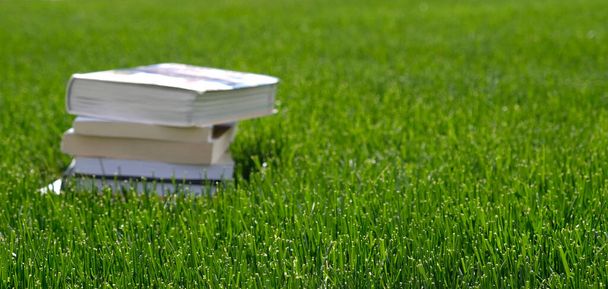 晴れた日にフィールド上の緑の芝生の本のスタック。読書と知識の概念。テキストのコピースペースを持つバナー。学校に戻る。ヴィンテージ古いハードバックの本の山. - 写真・画像