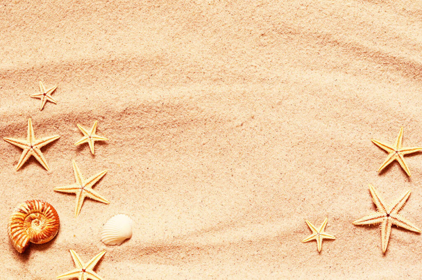 Seashell i wzór rozgwiazd na piaszczystej plaży. Letnie tło. Czas letni. - Zdjęcie, obraz