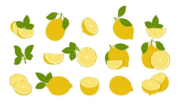 Лимонні фрукти ізольовані на білому. Цільний і лимонний цитрусовий фрукт
 - Вектор, зображення