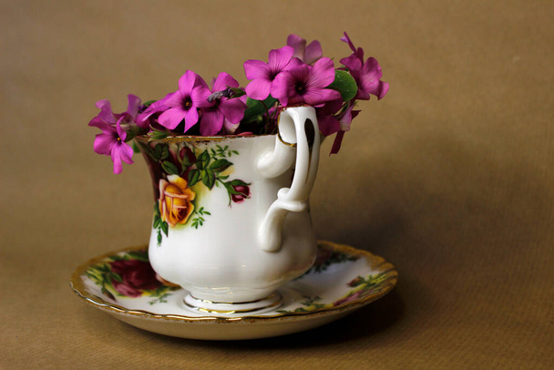 egy évjárat csésze, amelyben lóhere virágok - Fotó, kép