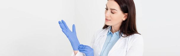 atrakcyjny dentysta w białym płaszczu dopasowujący rękawice lateksowe izolowane na szarym, banerowym - Zdjęcie, obraz