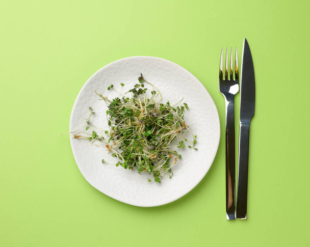brotes verdes de chía, rúcula y mostaza en un plato redondo blanco, vista superior. Un suplemento alimenticio saludable que contiene vitaminas C, E y K - Foto, imagen
