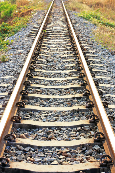 Línea de ferrocarril
 - Foto, Imagen