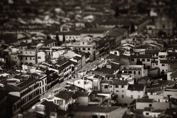 Tetők régi épületek Firenzében Olaszországban billenés-eltolódás hatása fekete fehér - Fotó, kép