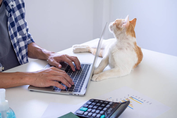 Egy férfi laptopot használ otthon, hogy dolgozzon vagy tanuljon az interneten, hogy megakadályozza a vírus terjedését. Otthoni munka, online koncepciók tanulmányozása - Fotó, kép