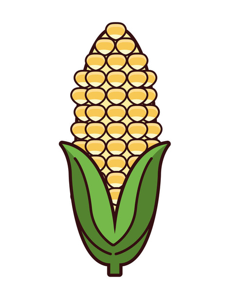 kukuřičný klas zelenina - Vektor, obrázek