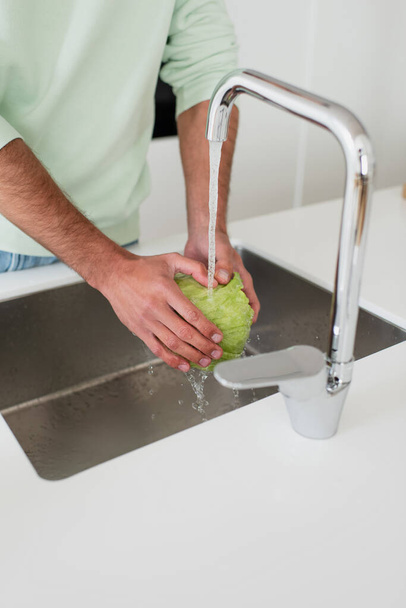 cropped view of man washing fresh lettuce in kitchen - 写真・画像