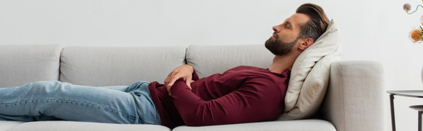 side view of adult man sleeping on couch at home, banner - Photo, Image