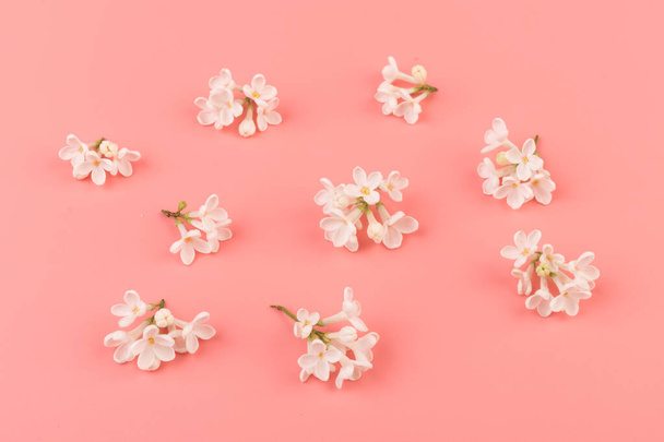 Макро - изображение весенних цветов сирени. Цветущие лиловые деревья - Фото, изображение