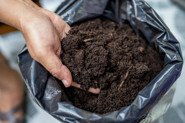 Азиатка с торфяным мхом улучшает почву для выращивания садоводческих растений - Фото, изображение