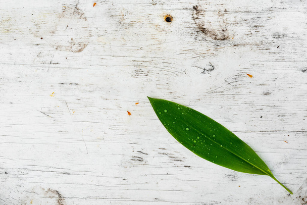 green leaf on wooden table surface - Foto, Imagem