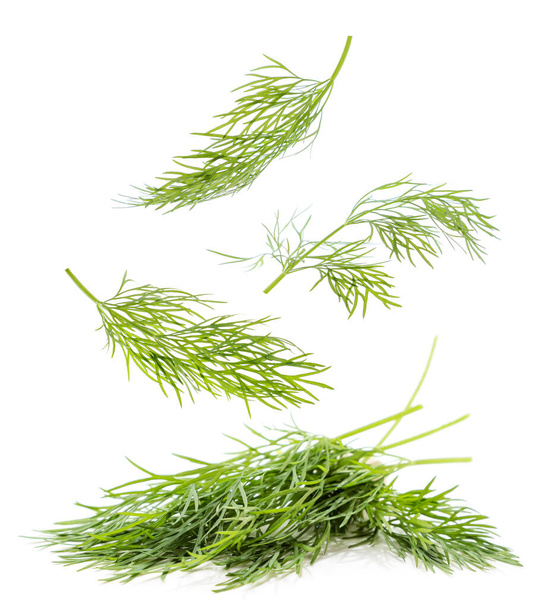 Sprigs of fresh dill falling close-up on a white background. Isolated - Photo, Image
