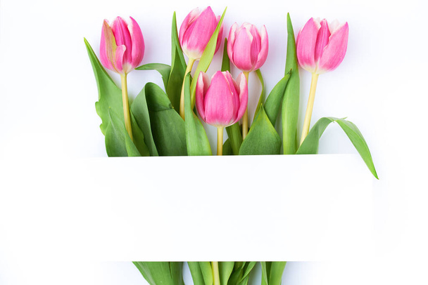 spring flat lay with paper sheet and tulips isolated on white background. - Foto, Imagem