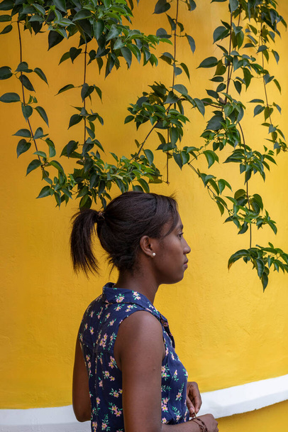 カラフルな背景を持つ若いアフリカ系アメリカ人女性の写真。カリ・ヴァレ・デル・カウカ・コロンビアのライフスタイル. - 写真・画像
