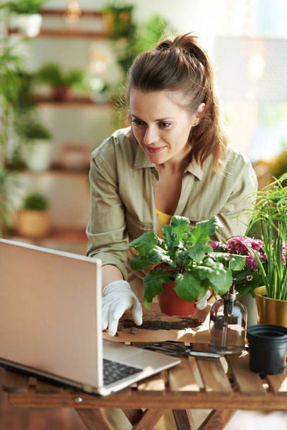 Relaxing home gardening. young florist in white rubber gloves with potted plant and laptop in the modern house in sunny day. - Фото, зображення