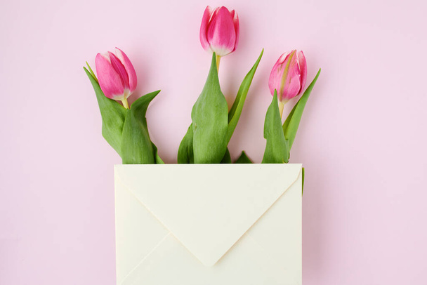 spring flat lay with letter and tulips isolated on pink. - Photo, image