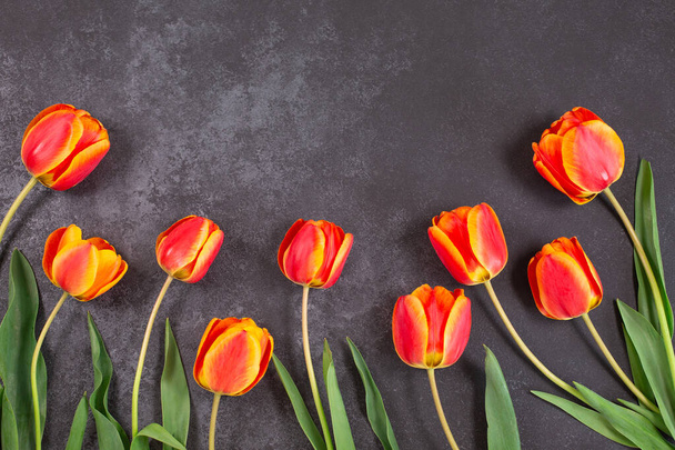frame van kleur tulpen bloemen op donkere achtergrond. - Foto, afbeelding