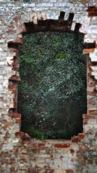 Blick durch ein zerstörtes Fenster in einer Ziegelmauer auf einen grünen Wald. Verschwommener Vordergrund. Einstürzendes Gebäude. - Foto, Bild