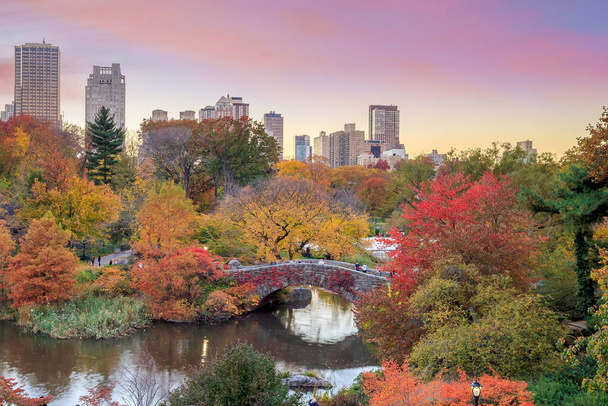 Central Park ősszel színes fák és felhőkarcolók  - Fotó, kép