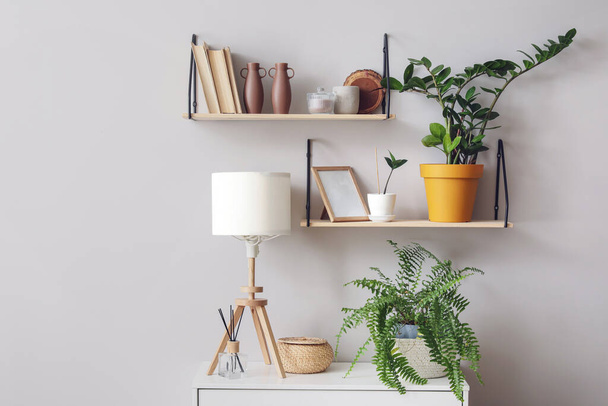Modern book shelves with houseplants hanging on light wall - Foto, Bild